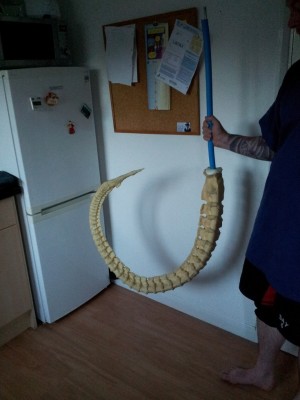 2013-08-20 20.12.39.jpg