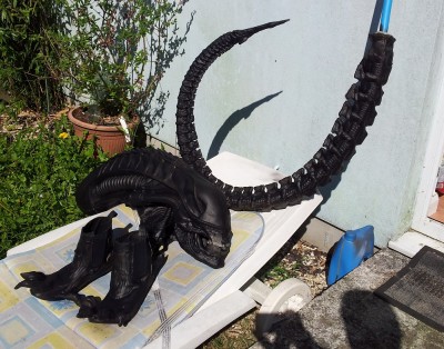 2013-08-22 10.56.24.jpg